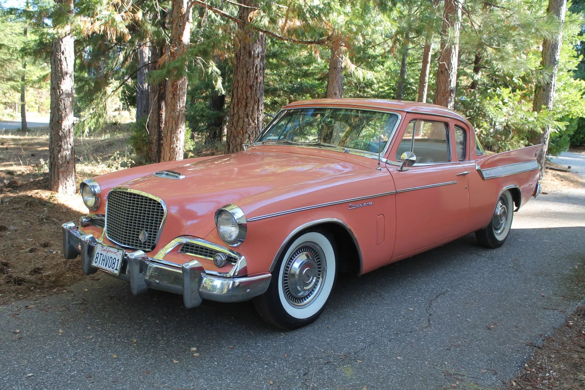 Picture of a Flamingo 1961 Studebaker Hawn in a wooded setting