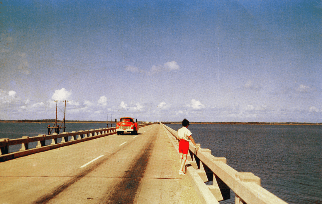 Vintage Postcards Of The 1950s & 1960s – Seeing America's Sights By Car 8 Captura de pantalla 2026 01 22 14.49.46