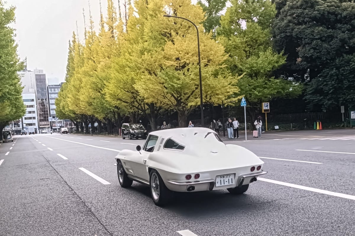 T87’s Singles Collection, Autumn 2025 Edition – Part 3: Foreign Cars (Italian, Swedish & American) 94 IMG20251102094748 edited