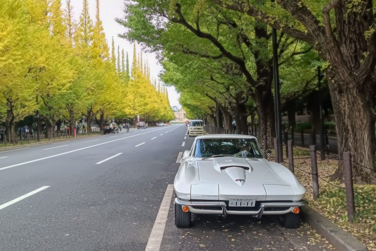 T87’s Singles Collection, Autumn 2025 Edition – Part 3: Foreign Cars (Italian, Swedish & American) 95 IMG20251102094833 edited
