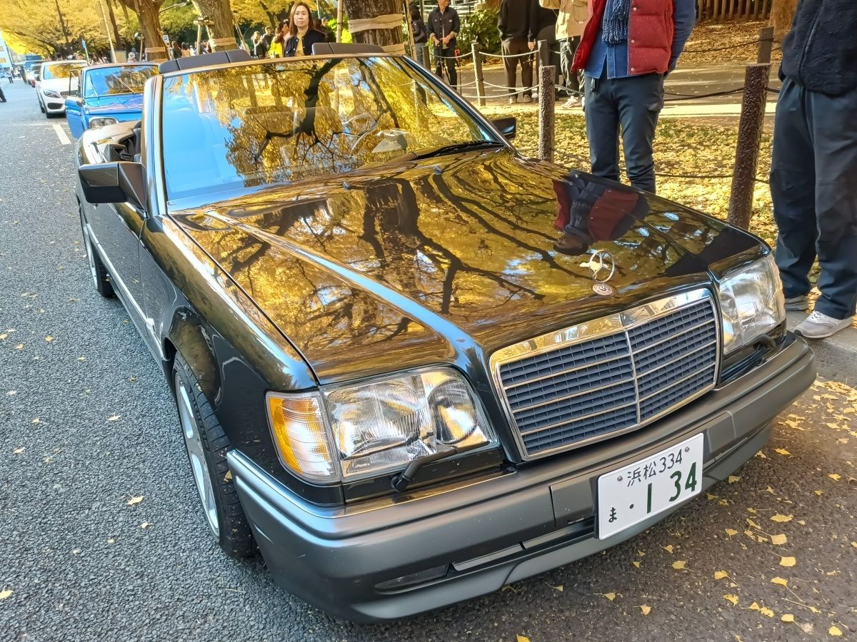 T87’s Singles Collection, Autumn 2025 Edition – Part 2: Foreign Cars (British, French & German) 126 IMG20251116081224 edited