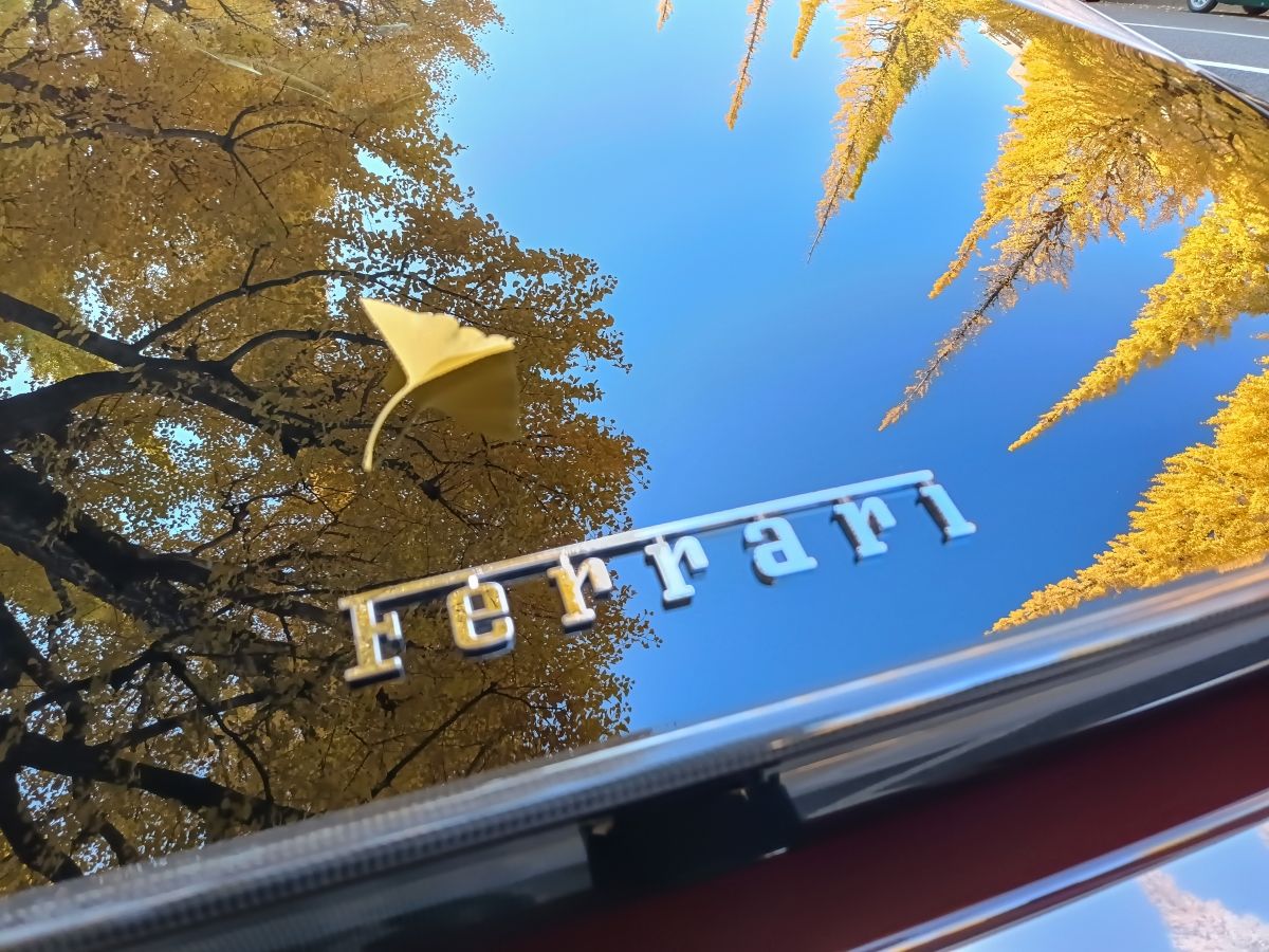 T87’s Singles Collection, Autumn 2025 Edition – Part 3: Foreign Cars (Italian, Swedish & American) 87 IMG20251116081741 edited