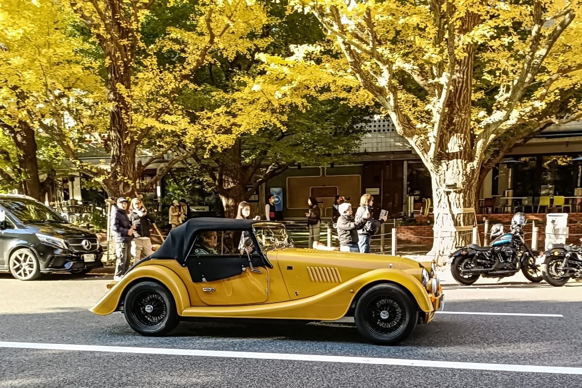T87’s Singles Collection, Autumn 2025 Edition – Part 2: Foreign Cars (British, French & German) 25 IMG20251116082127 edited