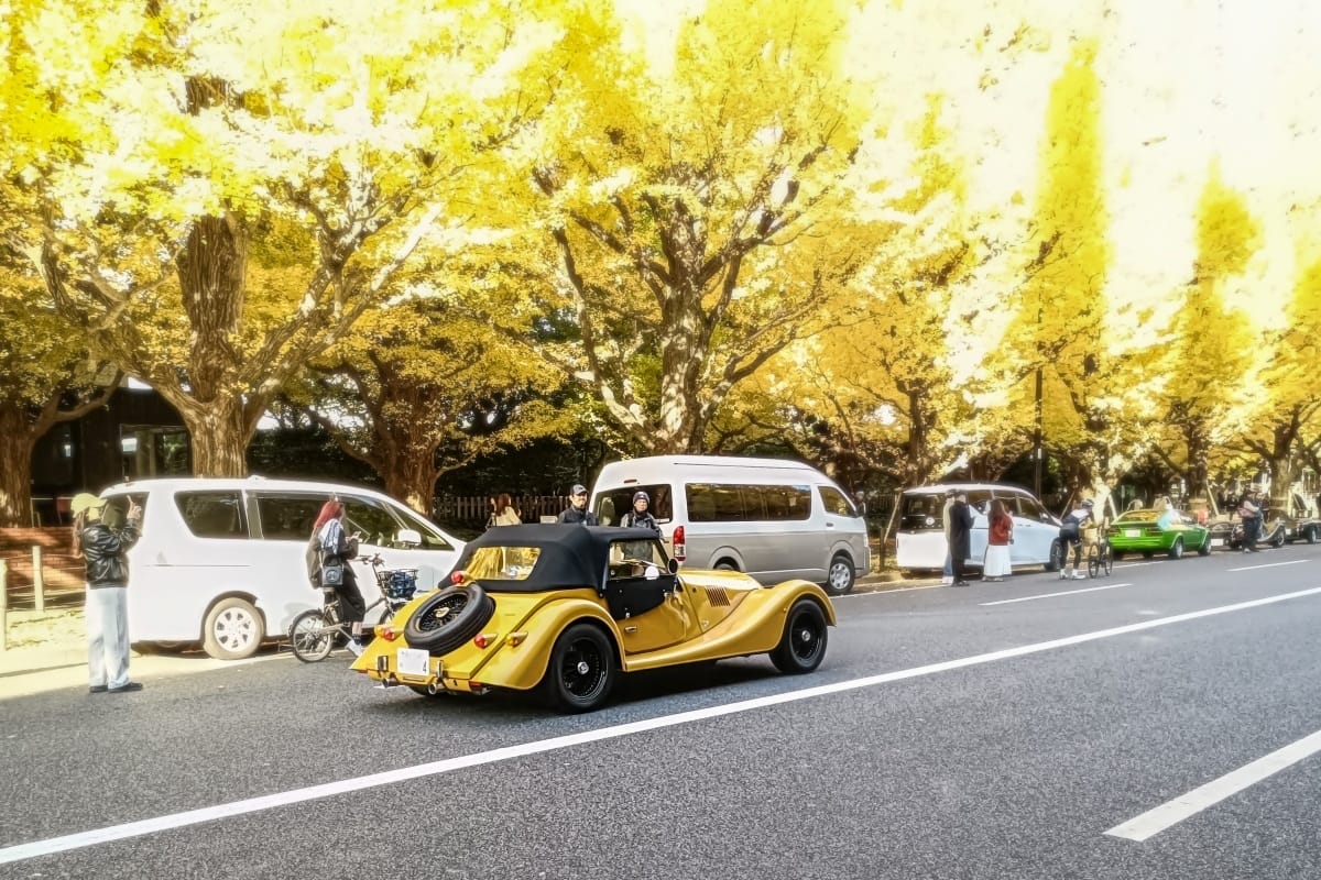 T87’s Singles Collection, Autumn 2025 Edition – Part 2: Foreign Cars (British, French & German) 26 IMG20251116082129 edited