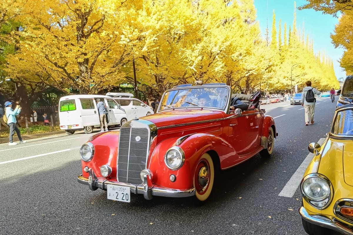 T87’s Singles Collection, Autumn 2025 Edition – Part 2: Foreign Cars (British, French & German) 136 IMG20251116092506 edited