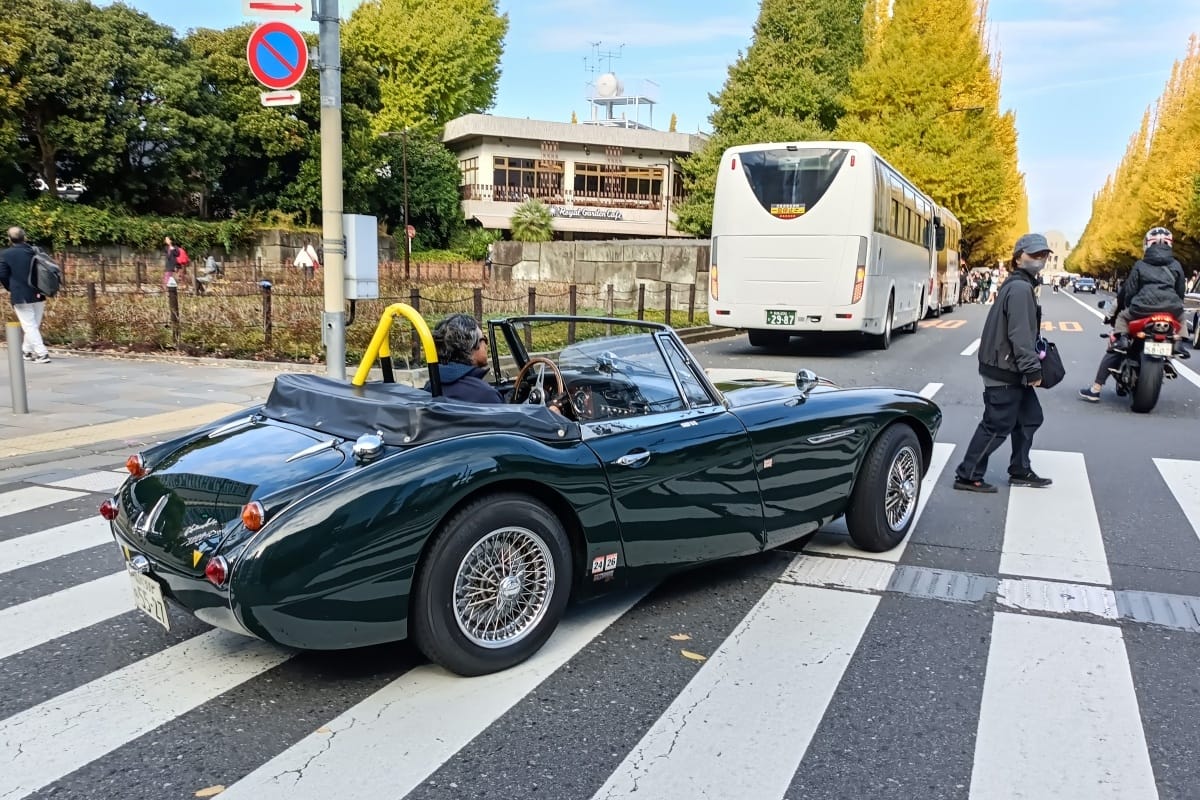 T87’s Singles Collection, Autumn 2025 Edition – Part 2: Foreign Cars (British, French & German) 29 IMG20251116093753 edited