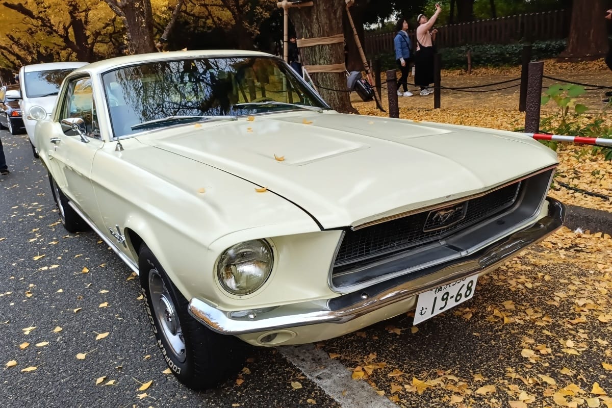 T87’s Singles Collection, Autumn 2025 Edition – Part 3: Foreign Cars (Italian, Swedish & American) 120 IMG20251123084808 edited