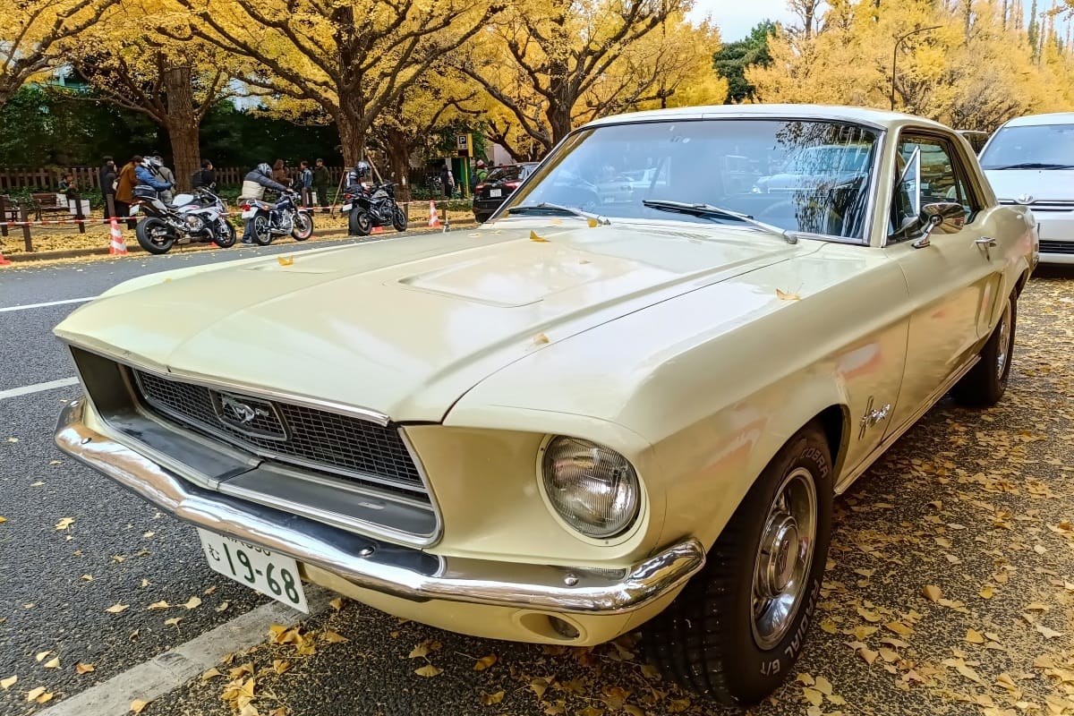 T87’s Singles Collection, Autumn 2025 Edition – Part 3: Foreign Cars (Italian, Swedish & American) 118 IMG20251123084816 edited