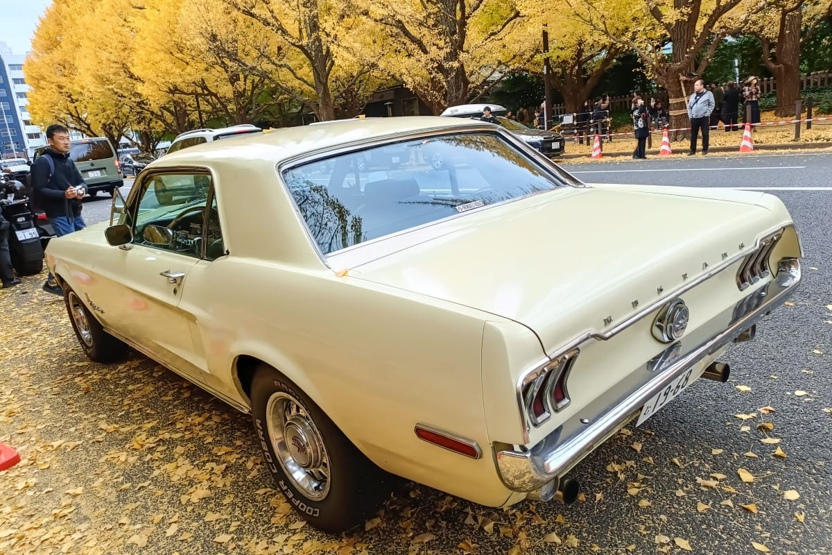 T87’s Singles Collection, Autumn 2025 Edition – Part 3: Foreign Cars (Italian, Swedish & American) 119 IMG20251123084843 edited
