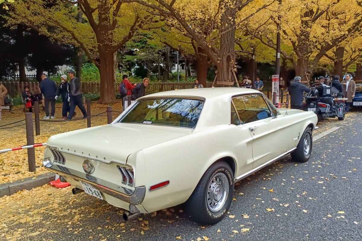 T87’s Singles Collection, Autumn 2025 Edition – Part 3: Foreign Cars (Italian, Swedish & American) 117 IMG20251123084857 edited