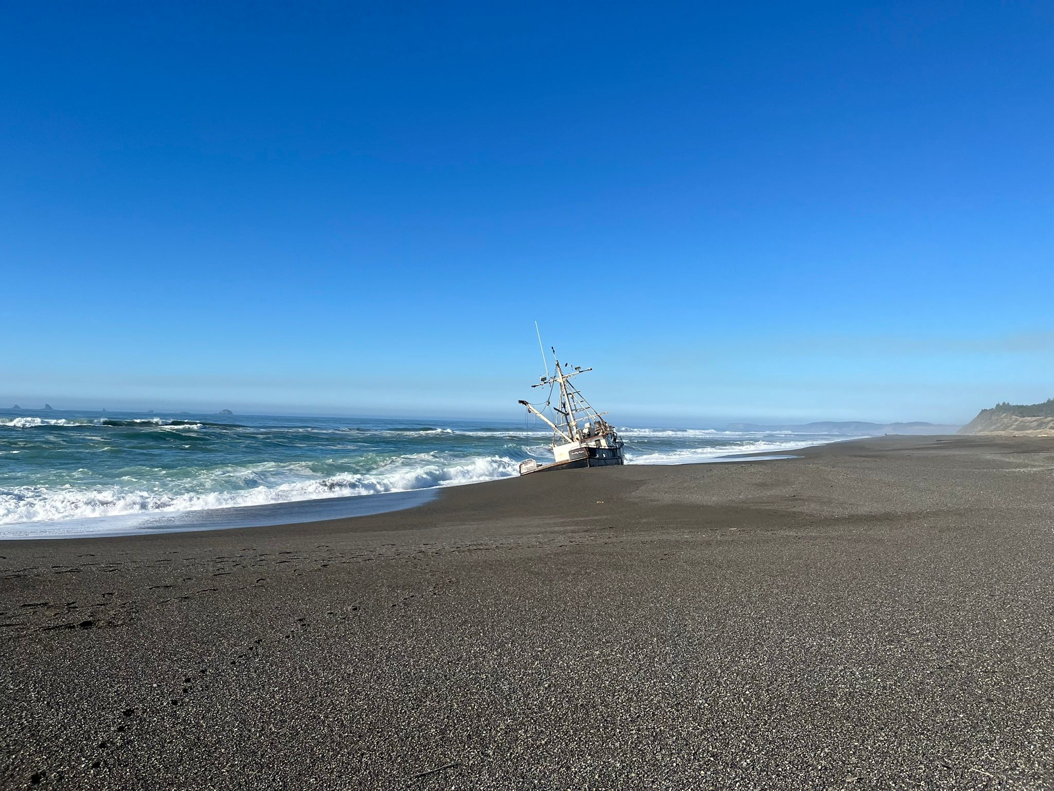 IMG 0256