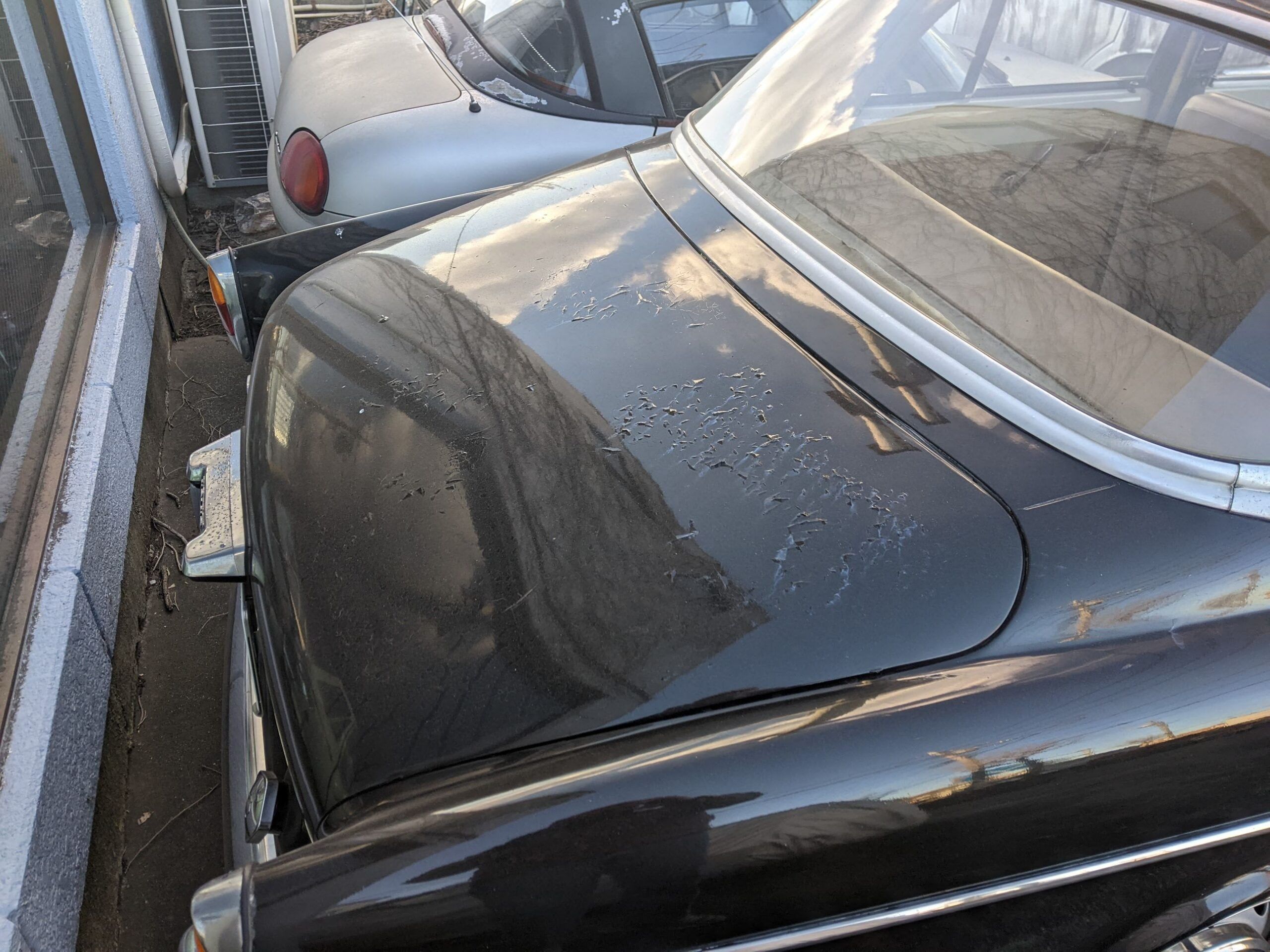 Mid-60’s Volvo 122S (Amazon) Four-Door Sedan – The Japanese Sure Do Love Their Volvos 5 PXL 20260121 064618823 scaled