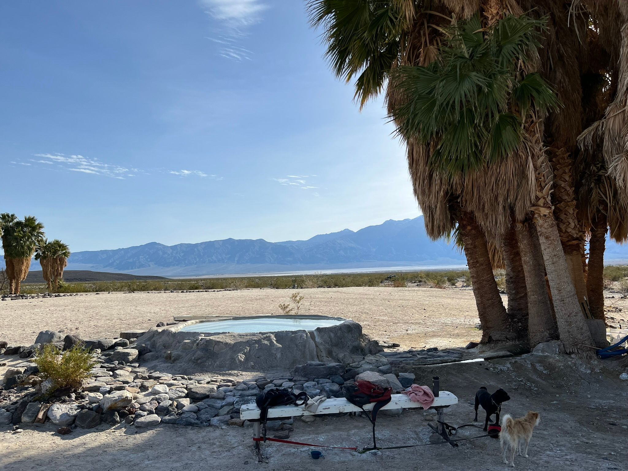 "High Clearance Vehicles Only": Can A Stock Promaster Van Make It To Saline Valley Hot Springs (And Out Again)? - Death Valley Days 25 IMG 0367 1