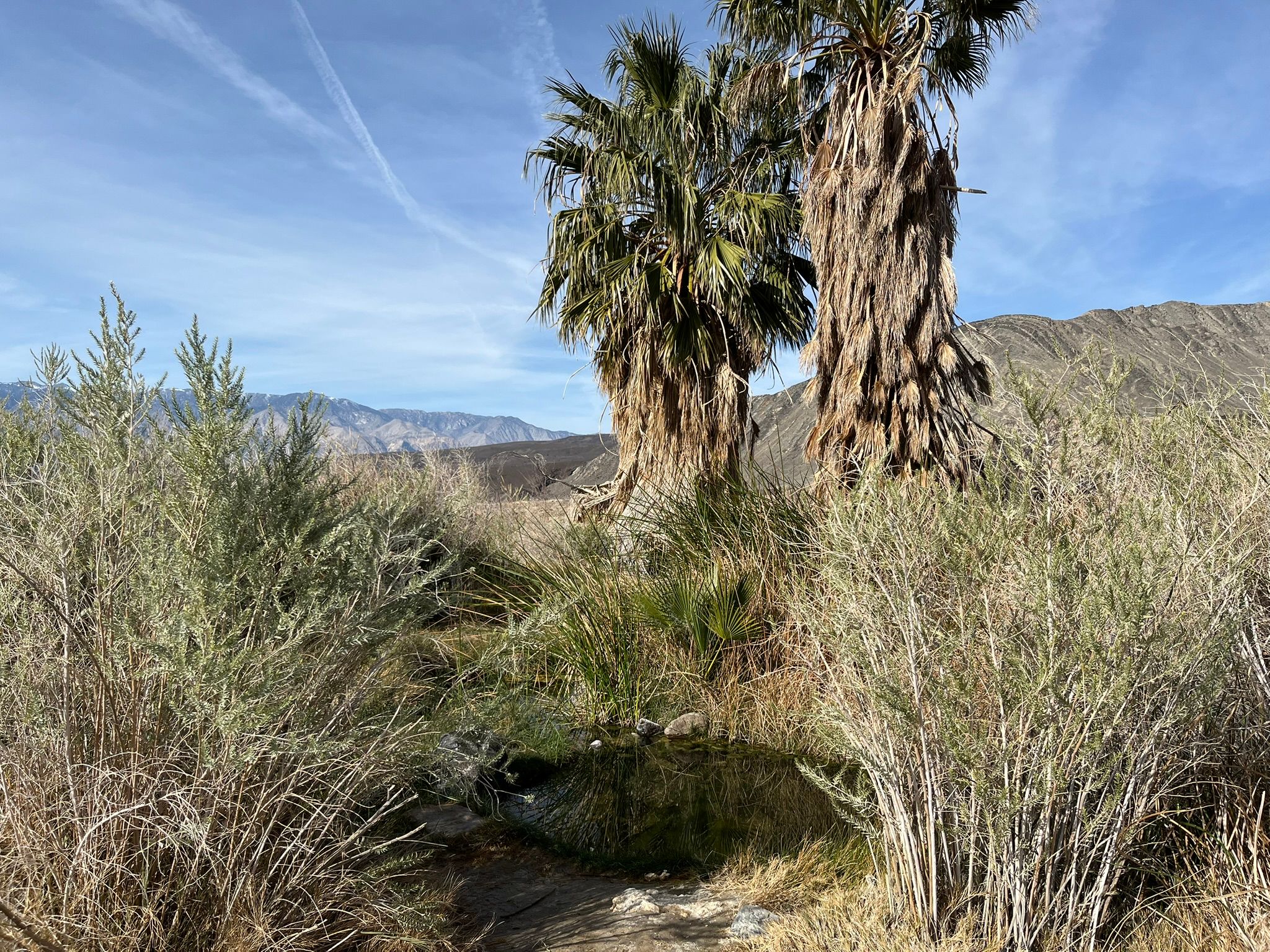 "High Clearance Vehicles Only": Can A Stock Promaster Van Make It To Saline Valley Hot Springs (And Out Again)? - Death Valley Days 22 IMG 0381