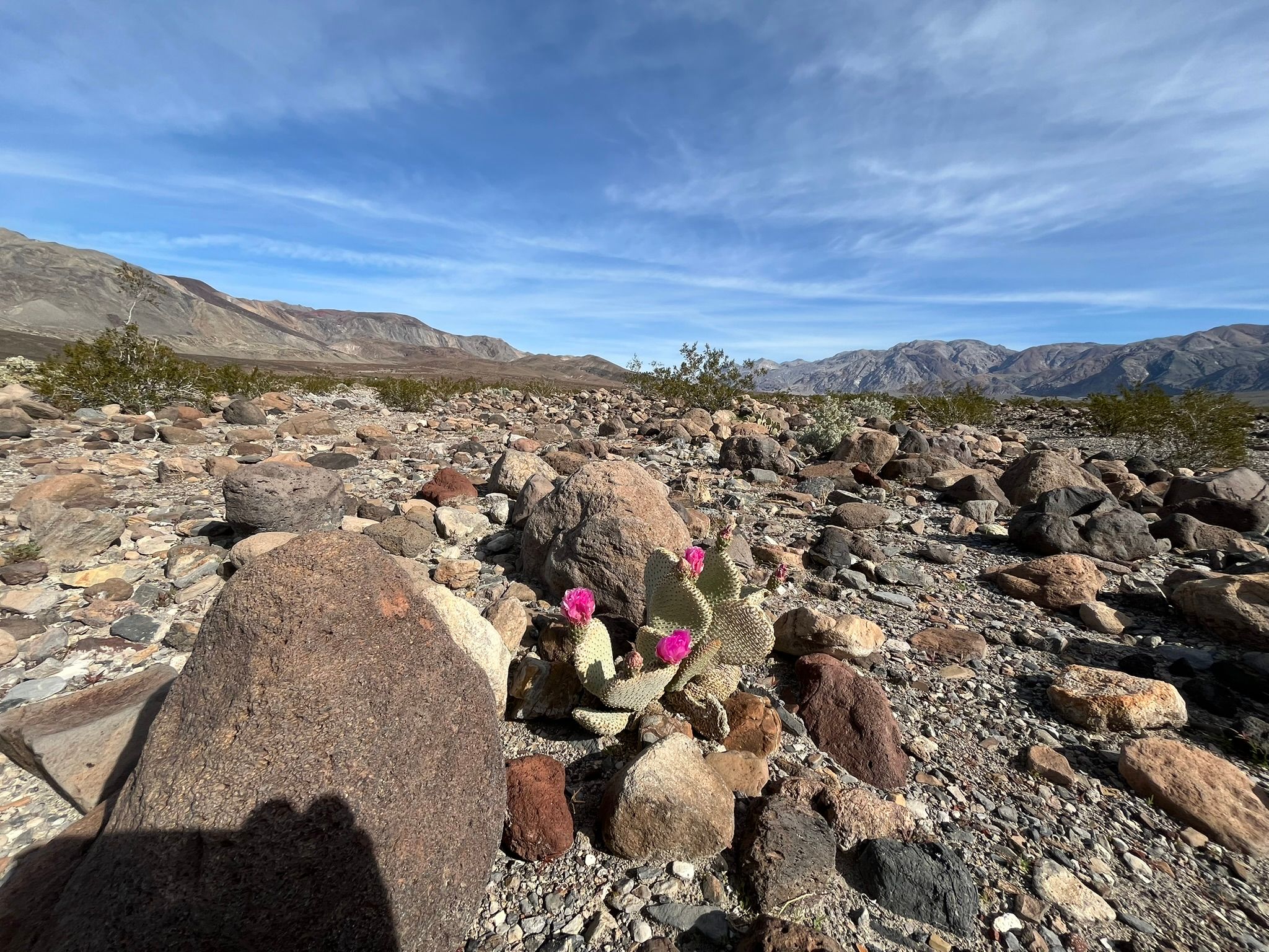 "High Clearance Vehicles Only": Can A Stock Promaster Van Make It To Saline Valley Hot Springs (And Out Again)? - Death Valley Days 23 IMG 0384