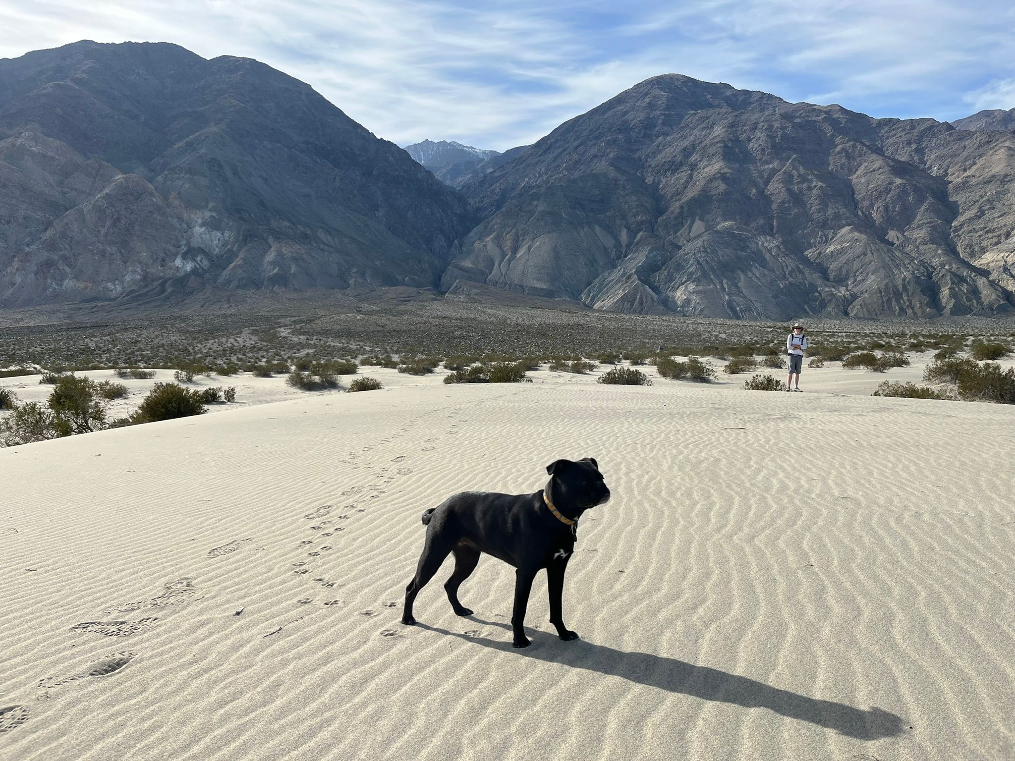 "High Clearance Vehicles Only": Can A Stock Promaster Van Make It To Saline Valley Hot Springs (And Out Again)? - Death Valley Days 33 IMG 0412