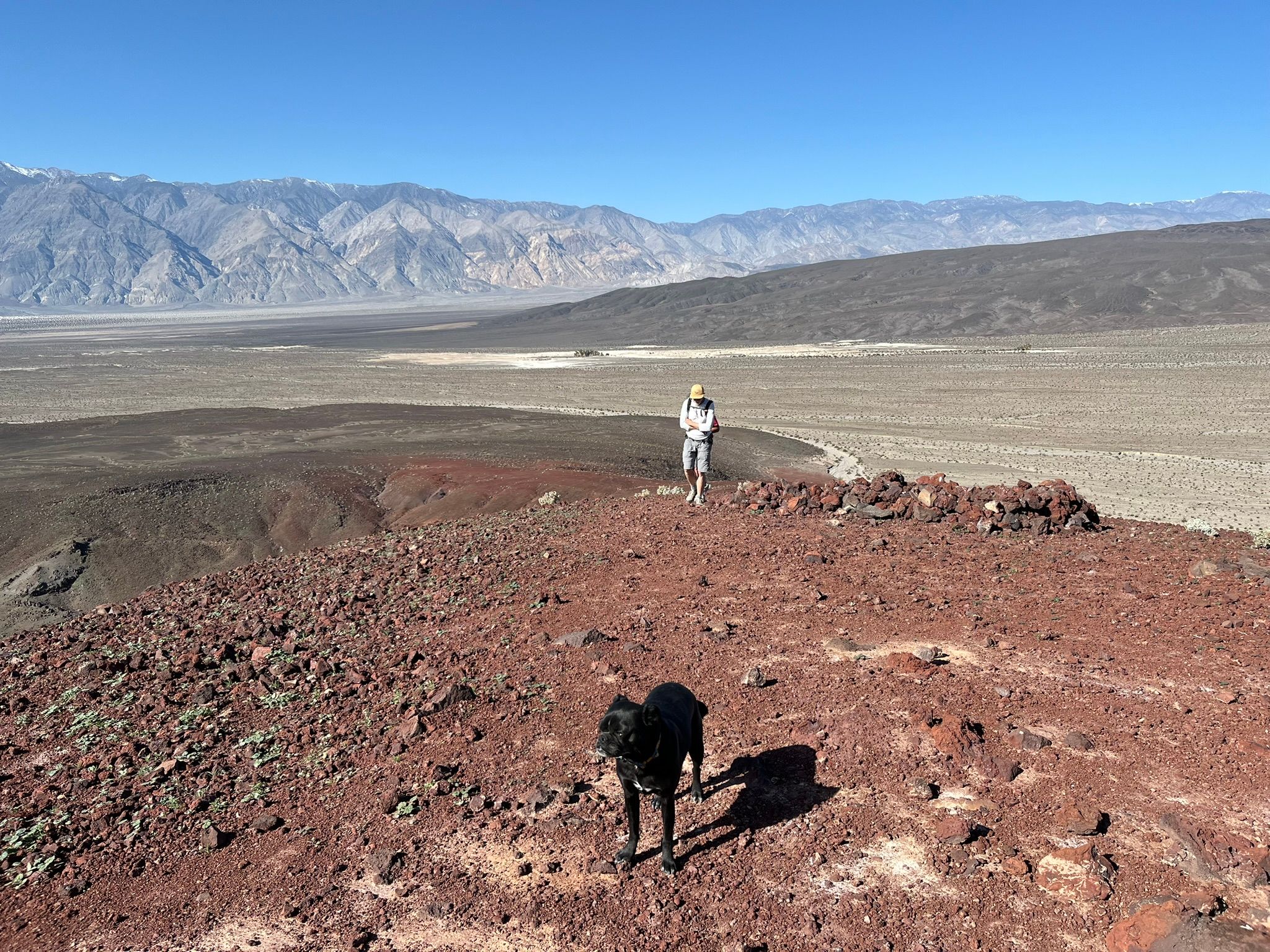 "High Clearance Vehicles Only": Can A Stock Promaster Van Make It To Saline Valley Hot Springs (And Out Again)? - Death Valley Days 36 IMG 0422