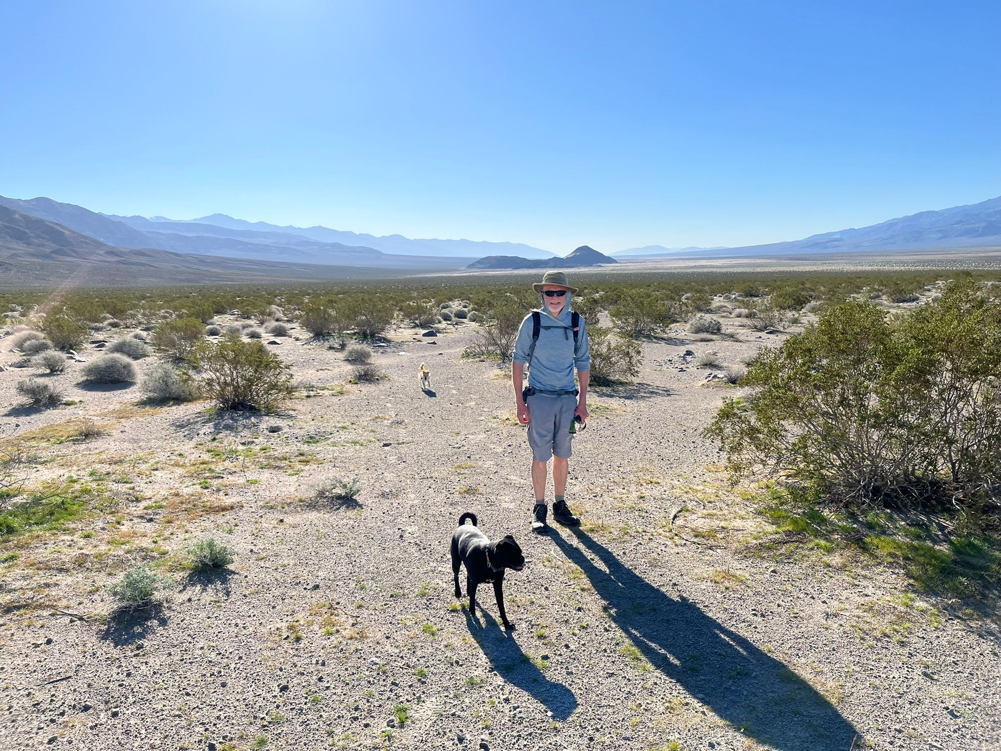 "High Clearance Vehicles Only": Can A Stock Promaster Van Make It To Saline Valley Hot Springs (And Out Again)? - Death Valley Days 55 IMG 0470