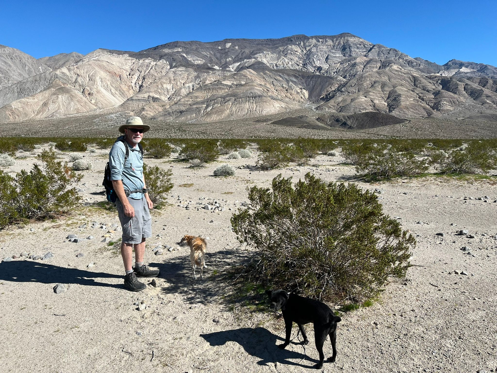 "High Clearance Vehicles Only": Can A Stock Promaster Van Make It To Saline Valley Hot Springs (And Out Again)? - Death Valley Days 59 IMG 0484