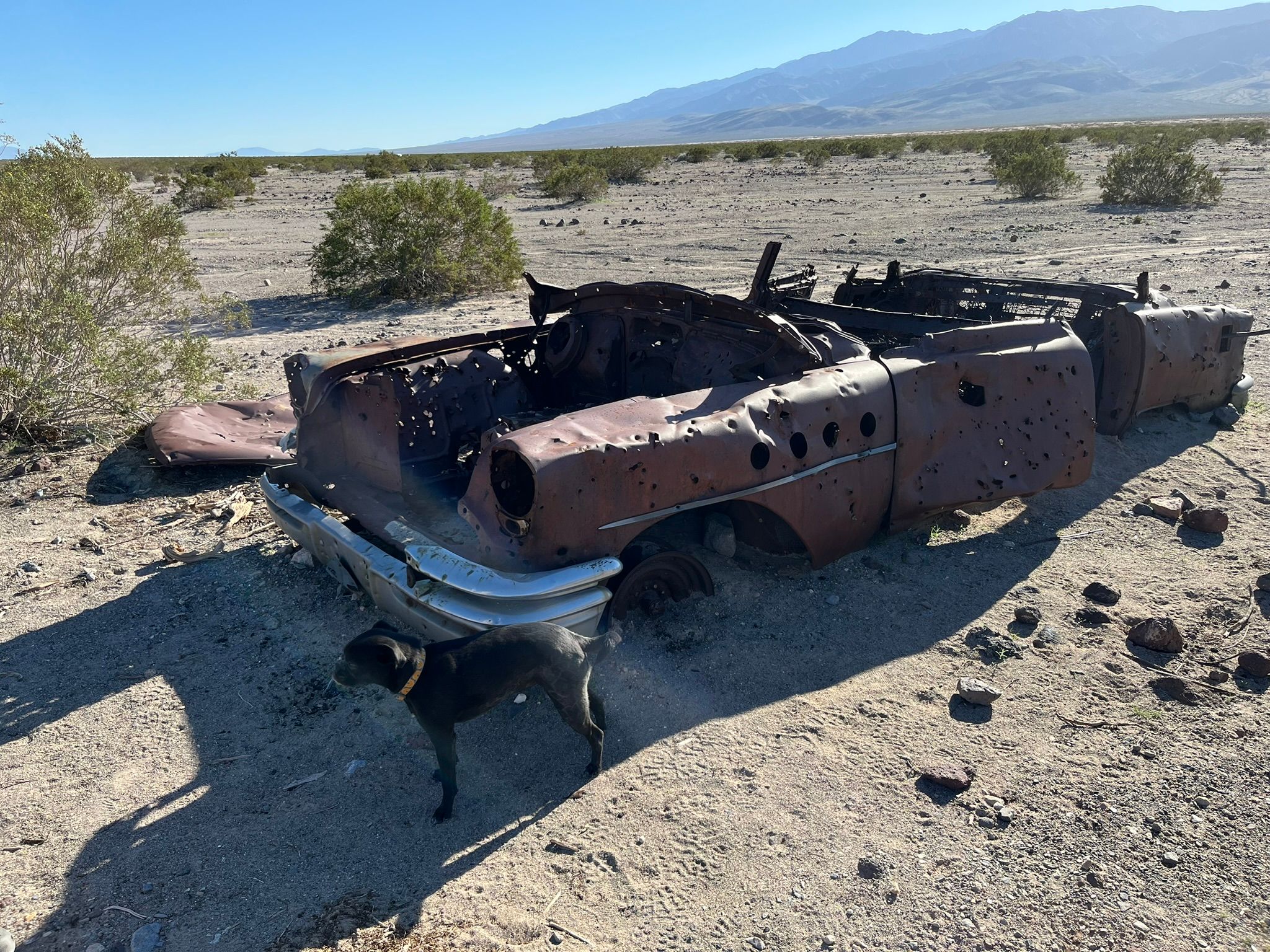 "High Clearance Vehicles Only": Can A Stock Promaster Van Make It To Saline Valley Hot Springs (And Out Again)? - Death Valley Days 65 IMG 0500
