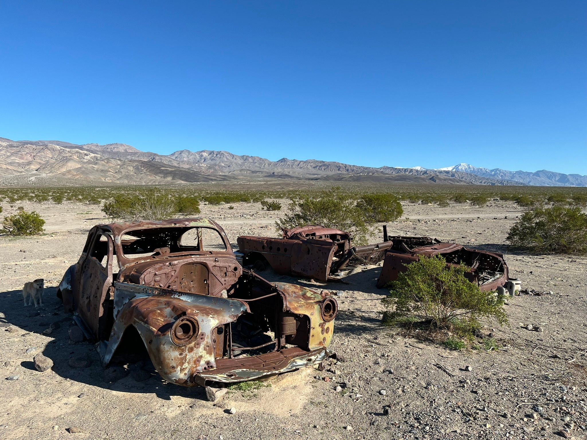 "High Clearance Vehicles Only": Can A Stock Promaster Van Make It To Saline Valley Hot Springs (And Out Again)? - Death Valley Days 69 IMG 0512