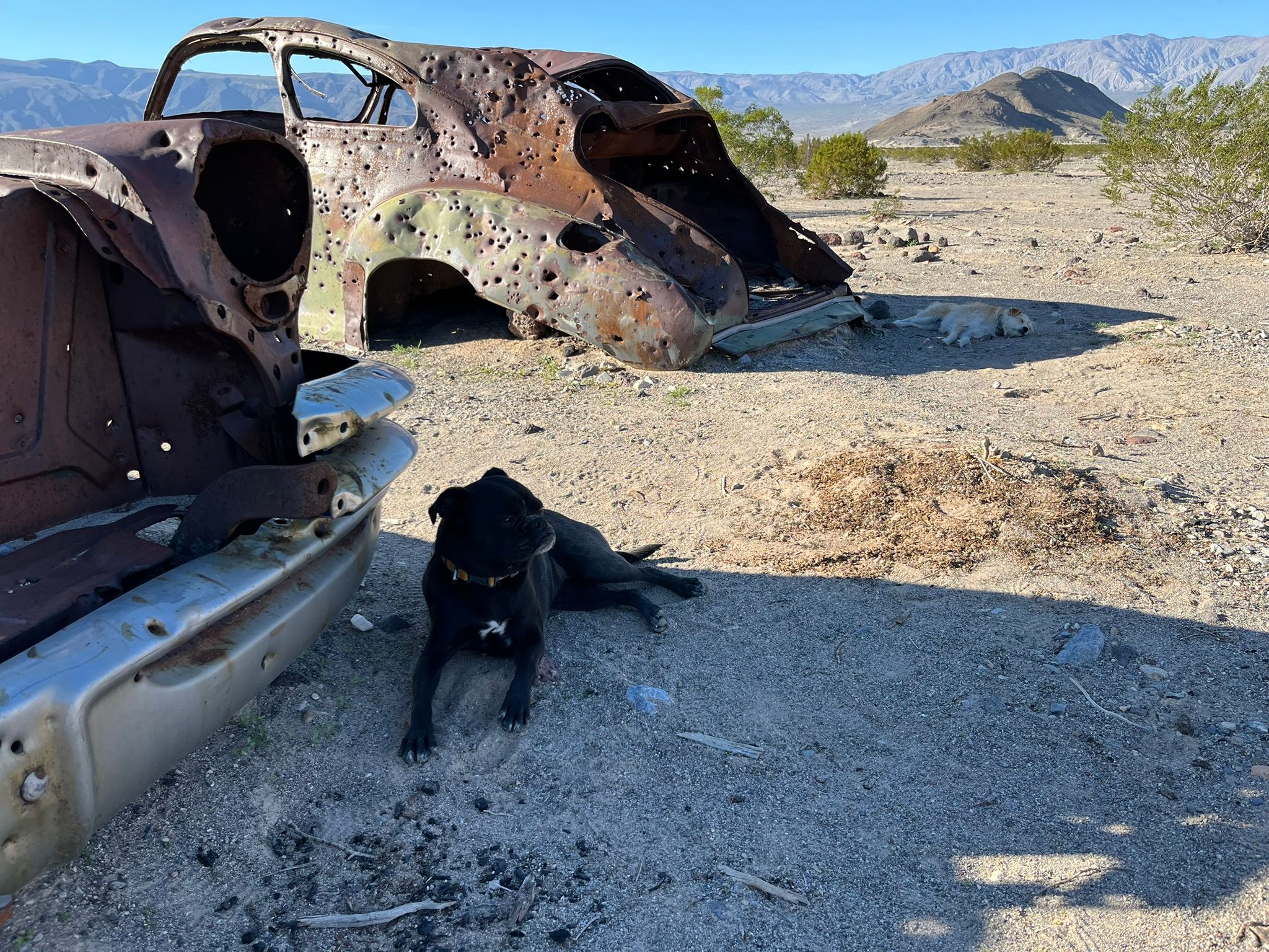 "High Clearance Vehicles Only": Can A Stock Promaster Van Make It To Saline Valley Hot Springs (And Out Again)? - Death Valley Days 73 IMG 0514 1
