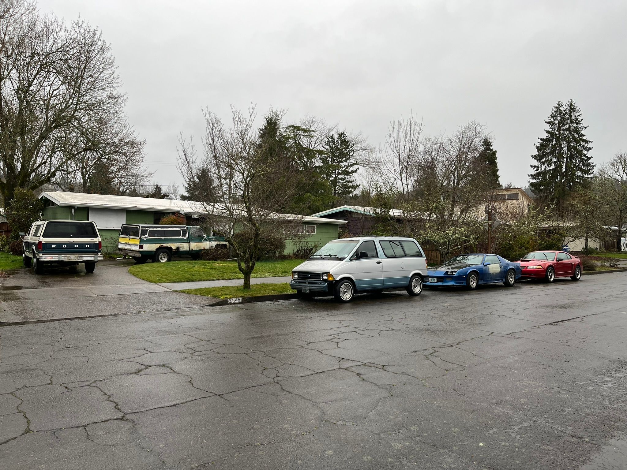 IMG 0577