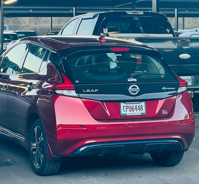 My 2020 Nissan Leaf - Low Expectations, Great Results 2 IMG 9363