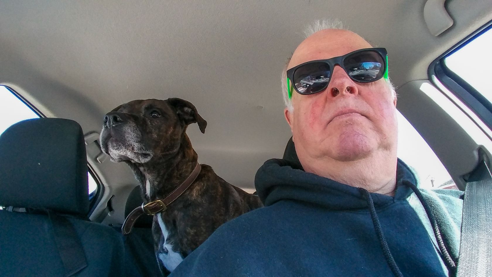 Me and Mack in the Prius 1