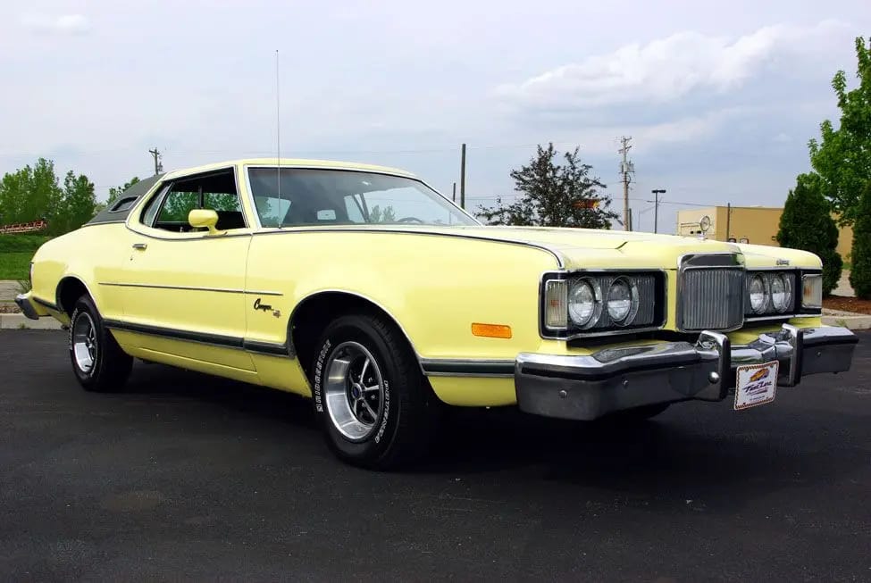 my cougar