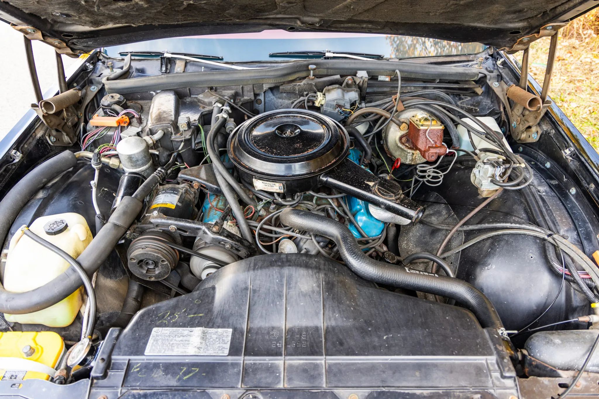 Engine in a 1977 Buick