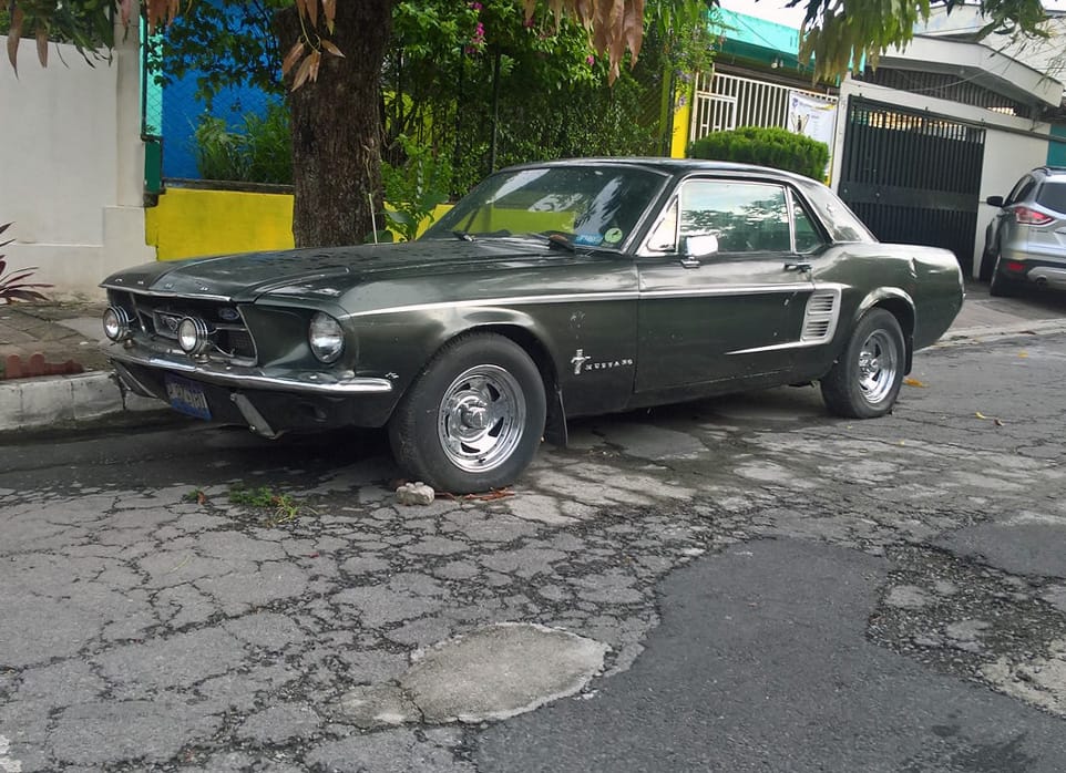 When Did All The Beater Mustangs Disappear? 1 29856667168 a5e2312537 b
