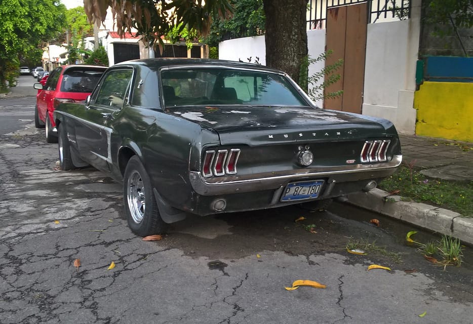 When Did All The Beater Mustangs Disappear? 4 42823340925 4a5a9633e7 b