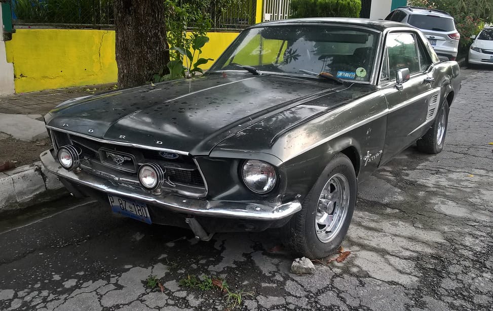 When Did All The Beater Mustangs Disappear? 3 43011197164 b51448c694 b