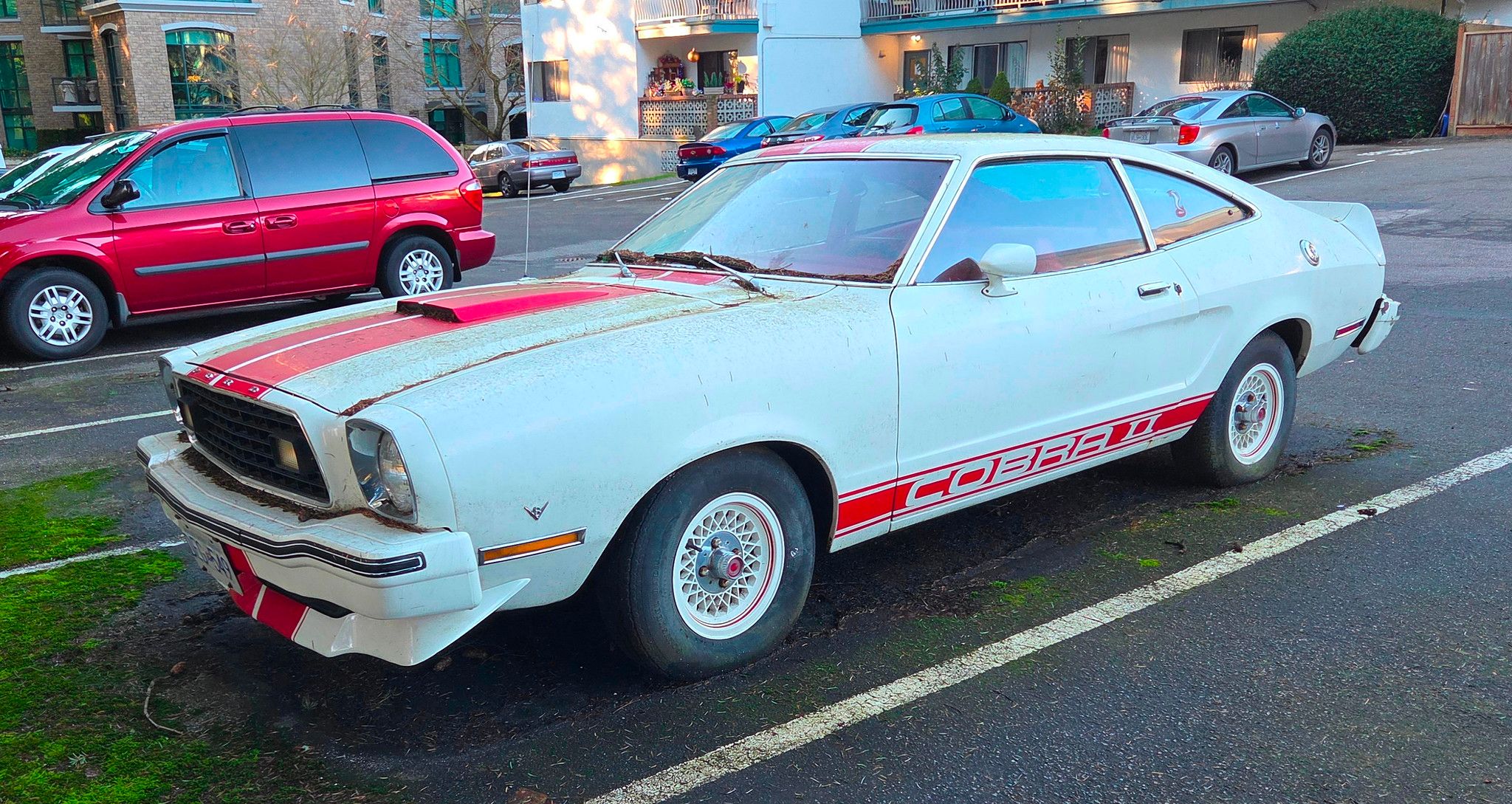 Image of white 1977 Ford Mustang Cobra II with red stripes