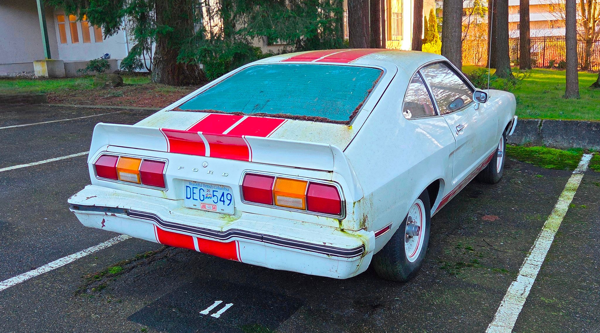 Image of white 1977 Ford Mustang Cobra II with red stripes