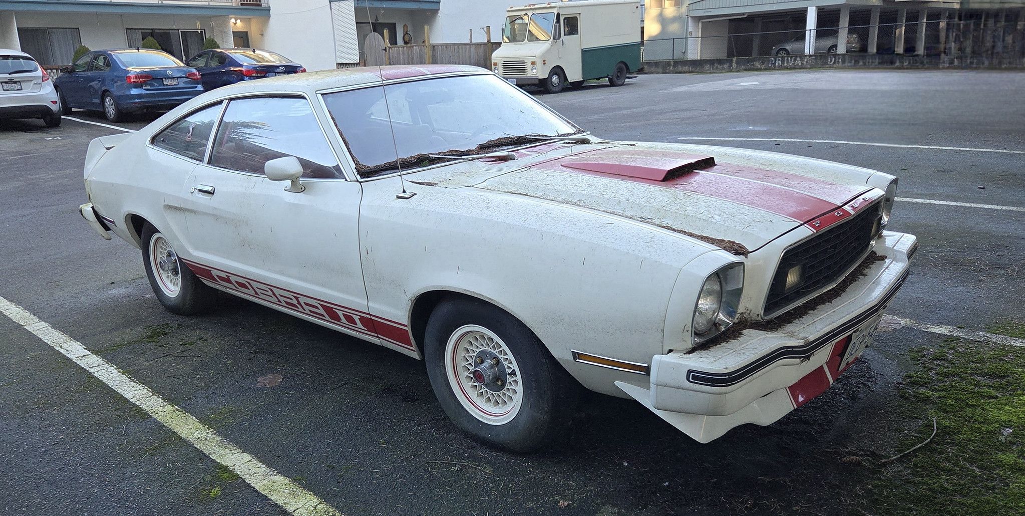 Image of white 1977 Ford Mustang Cobra II with red stripes