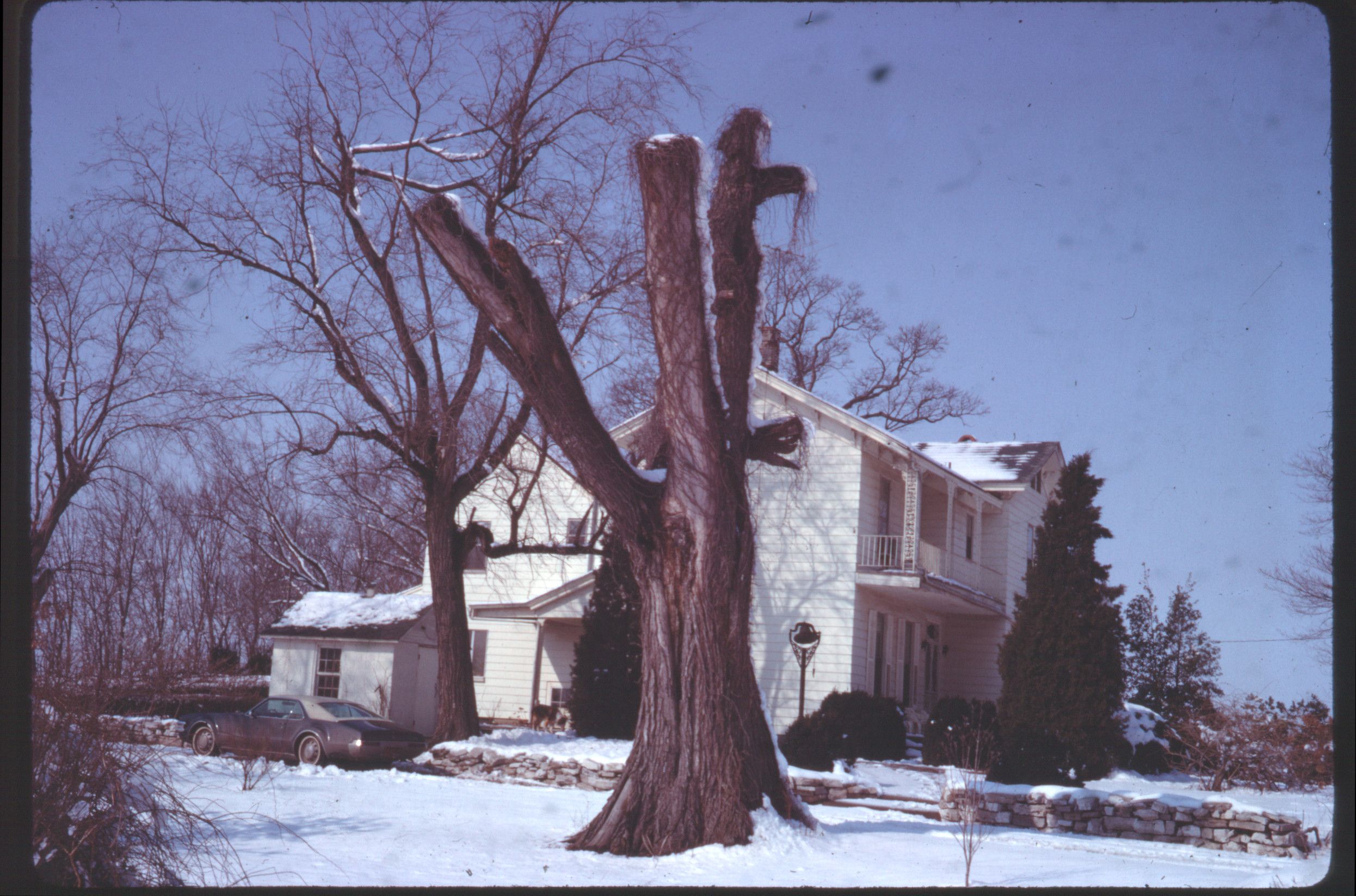 Vintage Photos Of Cars From My Family Archives - 1963-75 15 69mar house toronado