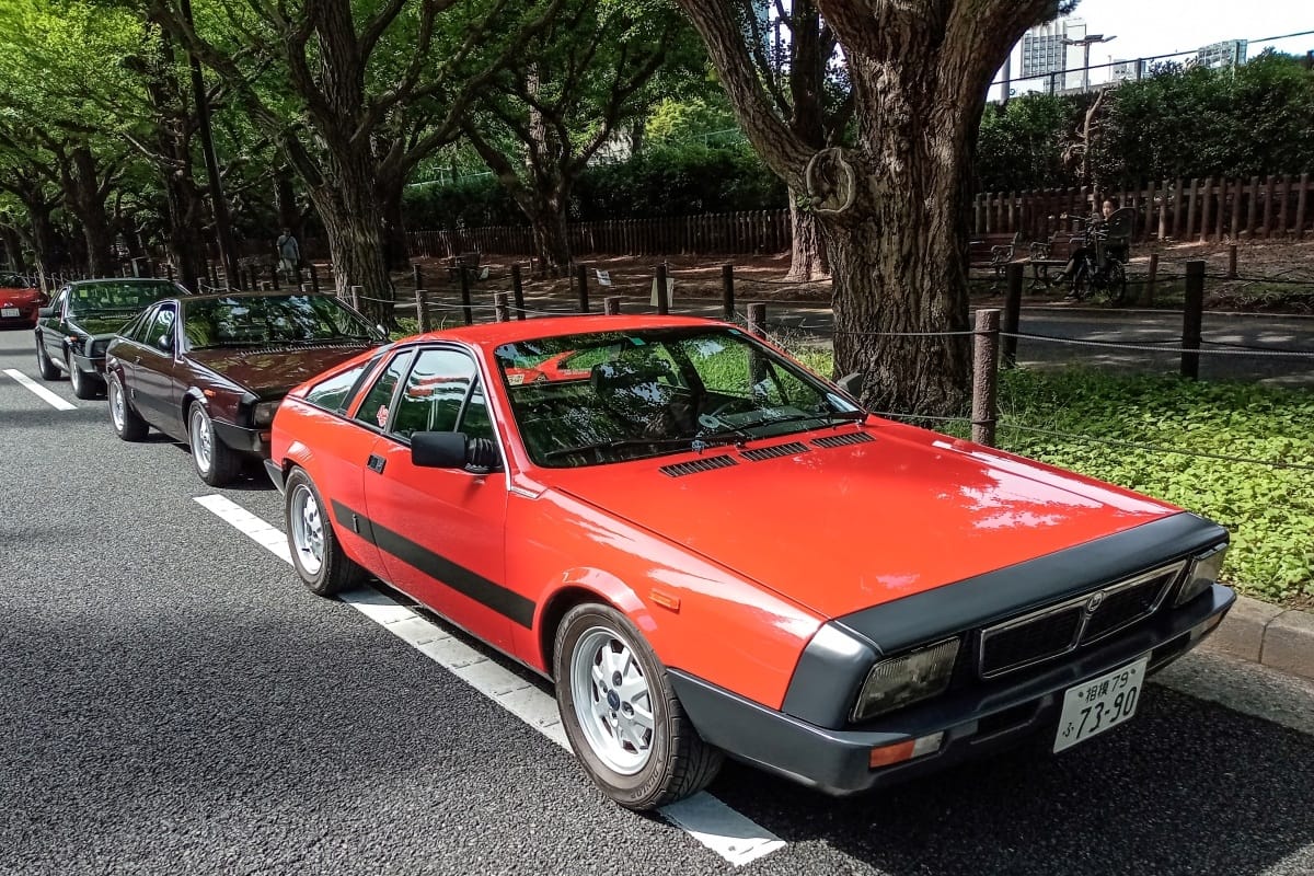 1980-81 Lancia Montecarlo – Good Tree, Bad Apple 2 DSC 3040 edited