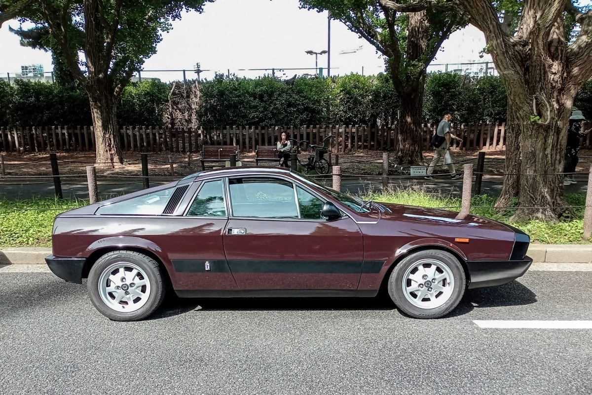 1980-81 Lancia Montecarlo – Good Tree, Bad Apple 13 DSC 3042 edited