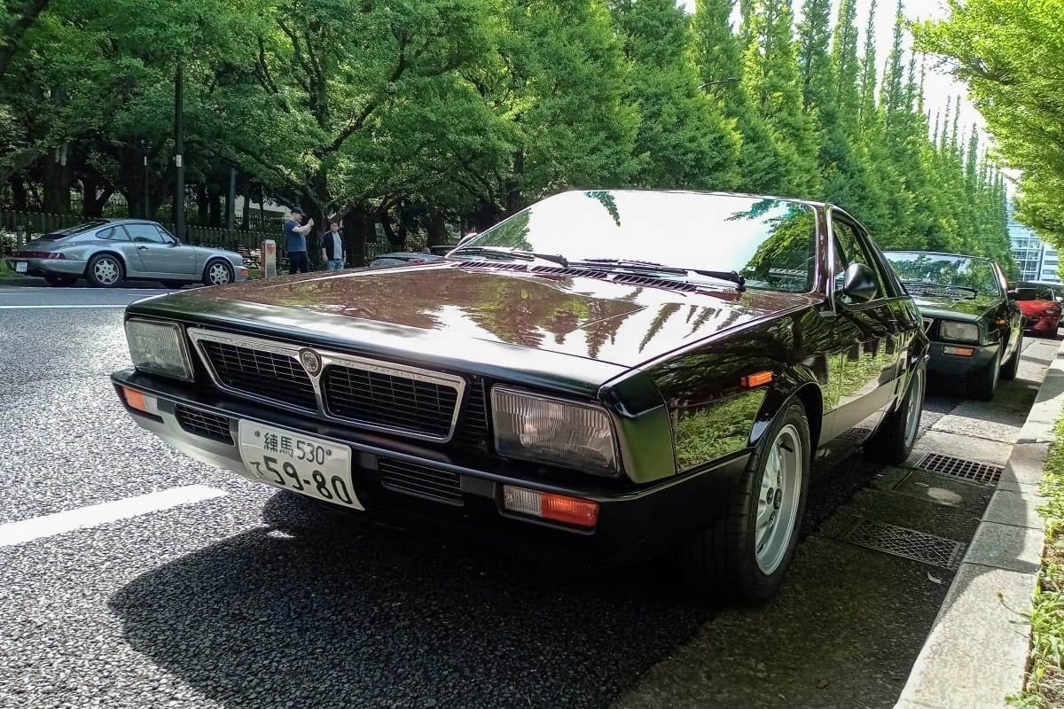 1980-81 Lancia Montecarlo – Good Tree, Bad Apple 23 DSC 3047 edited