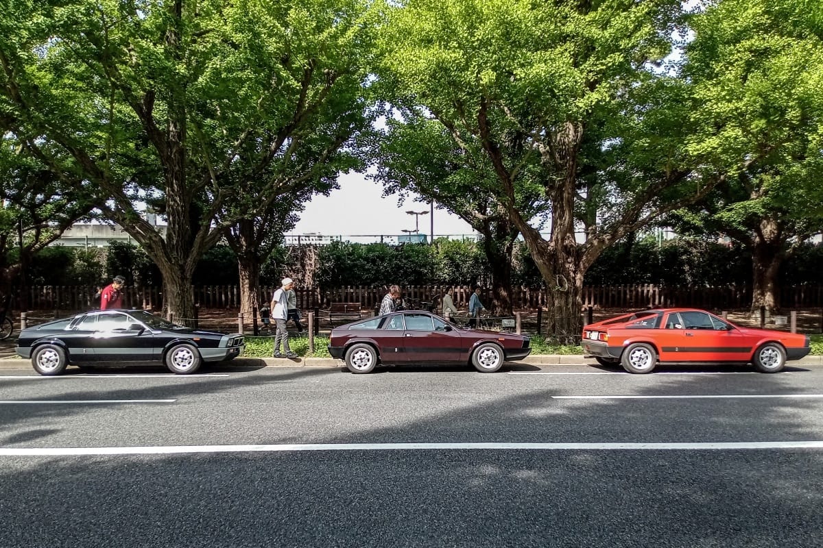 1980-81 Lancia Montecarlo – Good Tree, Bad Apple 3 DSC 3062 edited