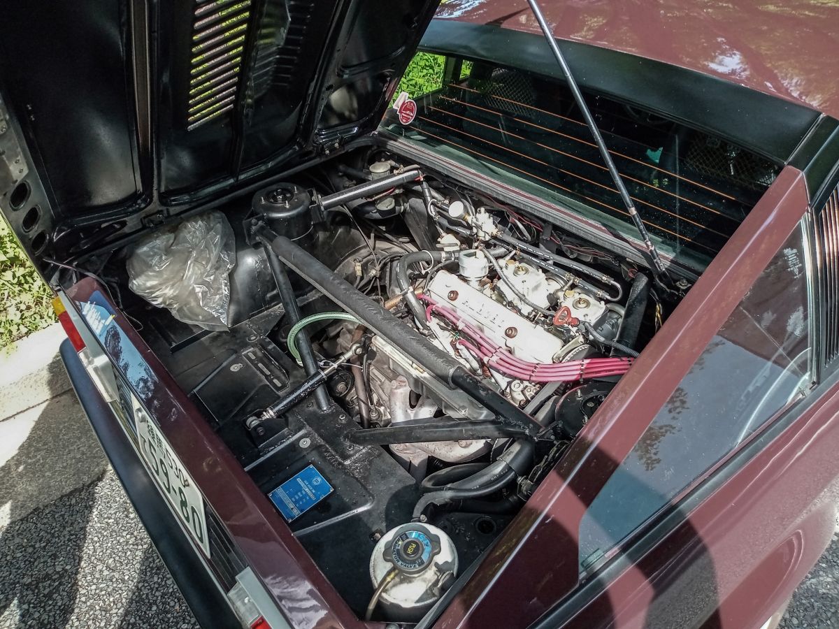 1980-81 Lancia Montecarlo – Good Tree, Bad Apple 12 DSC 3063 edited