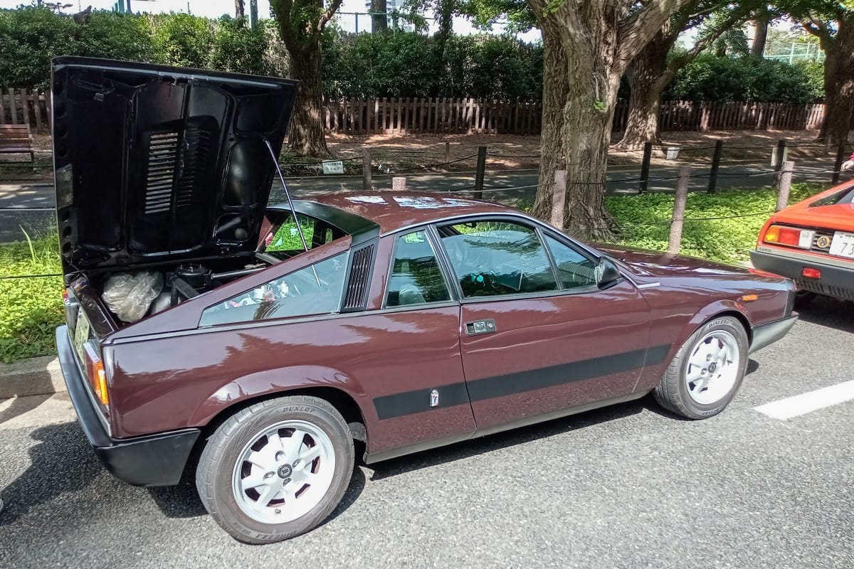1980-81 Lancia Montecarlo – Good Tree, Bad Apple 22 DSC 3064 edited