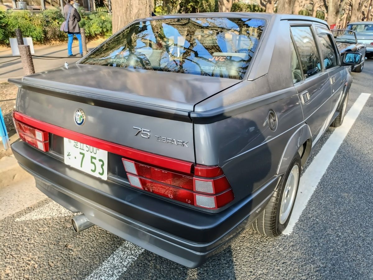 IMG20260215082234 edited