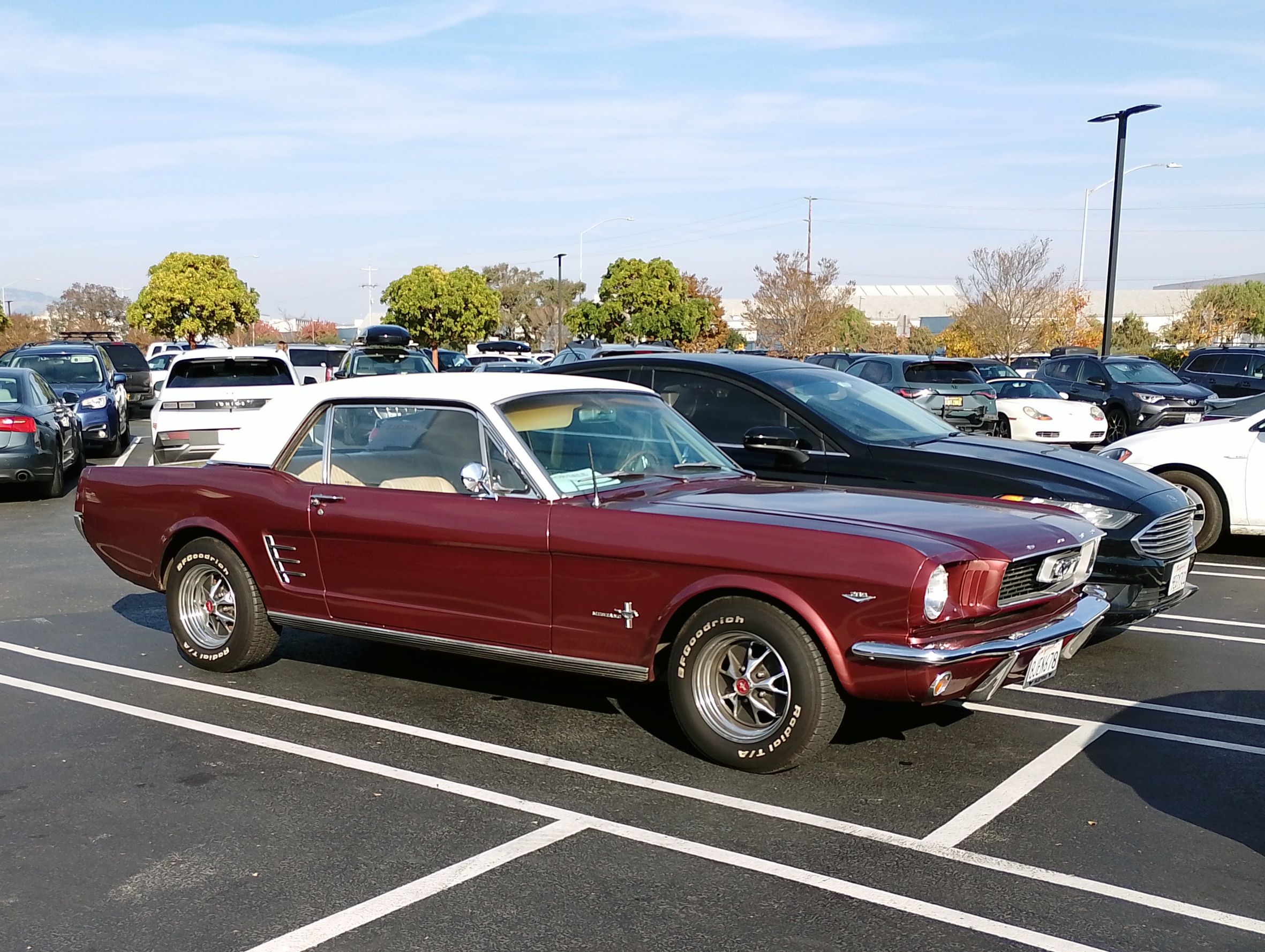 When Did All The Beater Mustangs Disappear? 2 IMG 20241210 132823 PORTRAIT