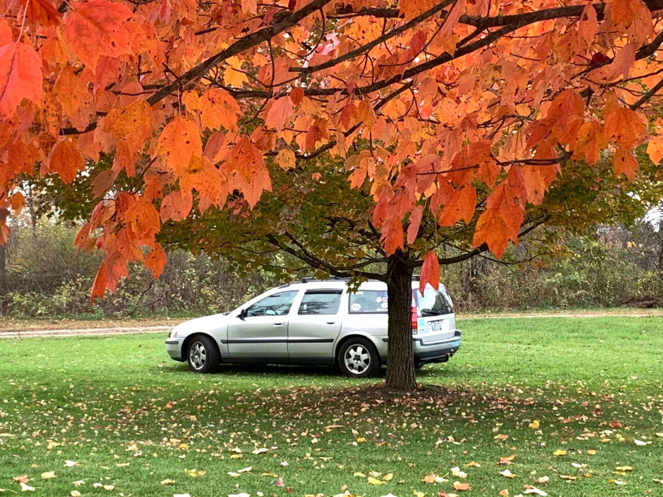 My 2001 Volvo V70 T5: Investing in Durable Goods (Part 1) 2 IMG 7553 scaled