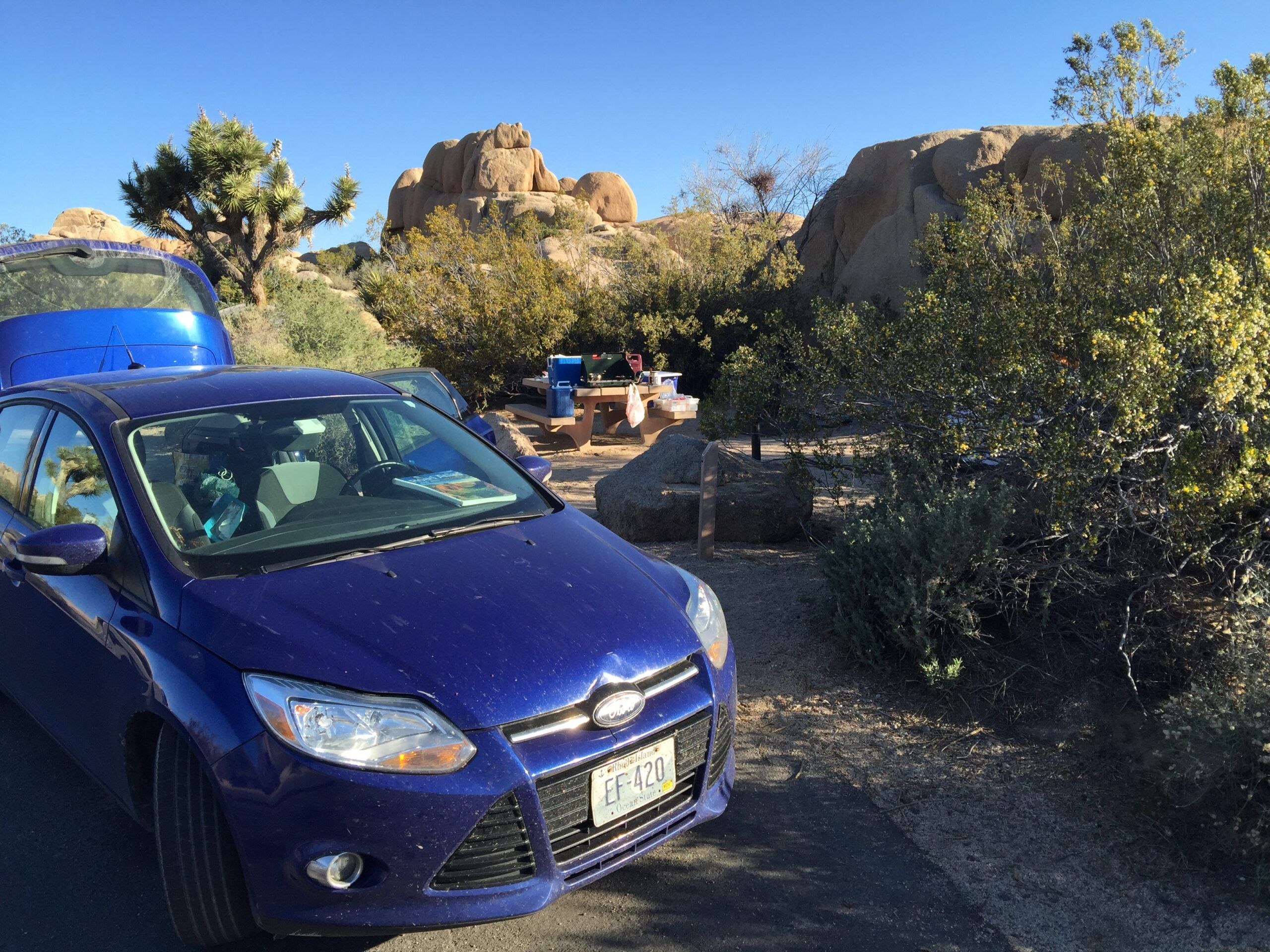 My 2012 Ford Focus (Part 3) – Last Rides, Long Trips 8 IMG 8458 scaled