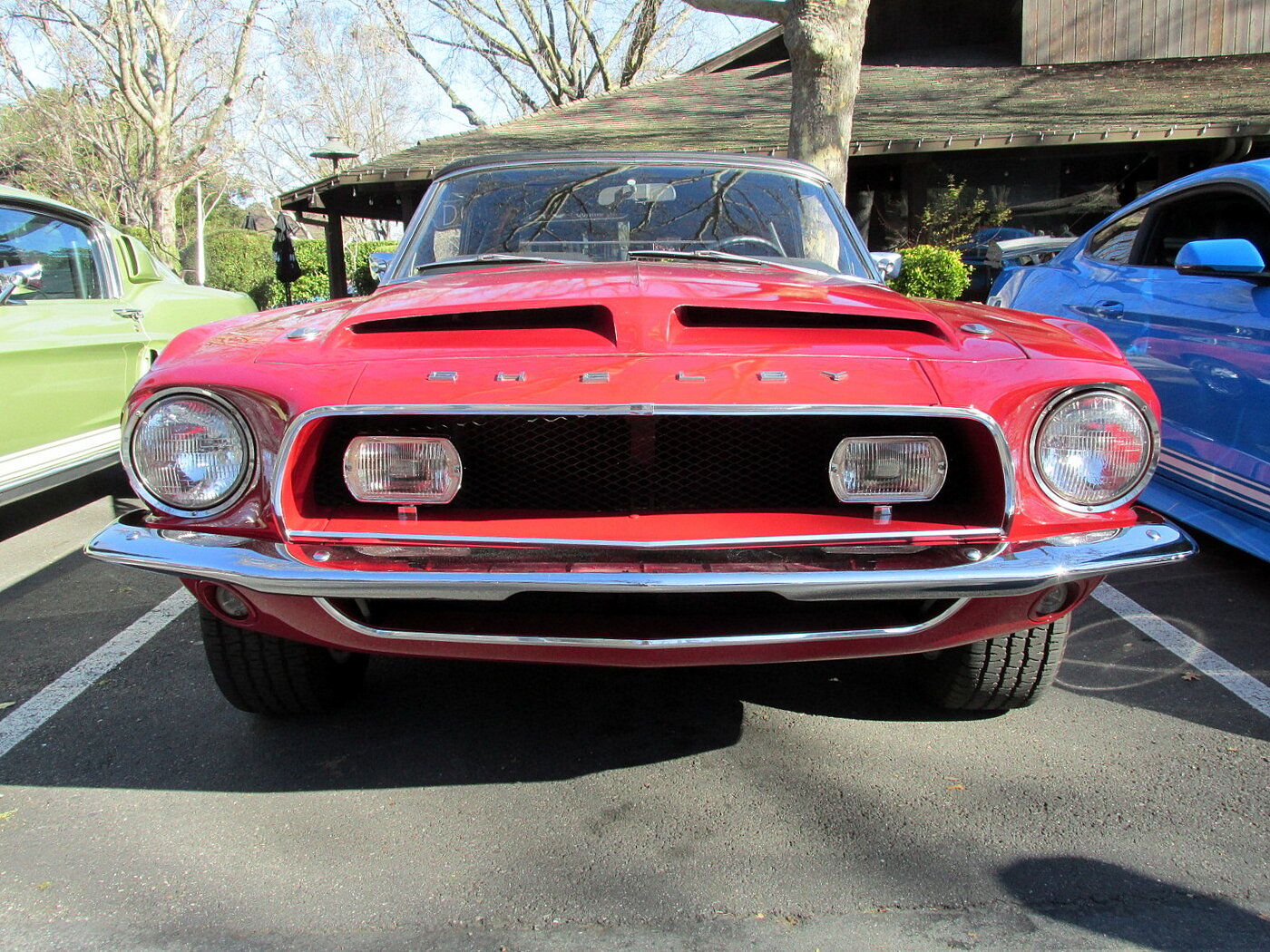 rsz shelby gt350 68 001