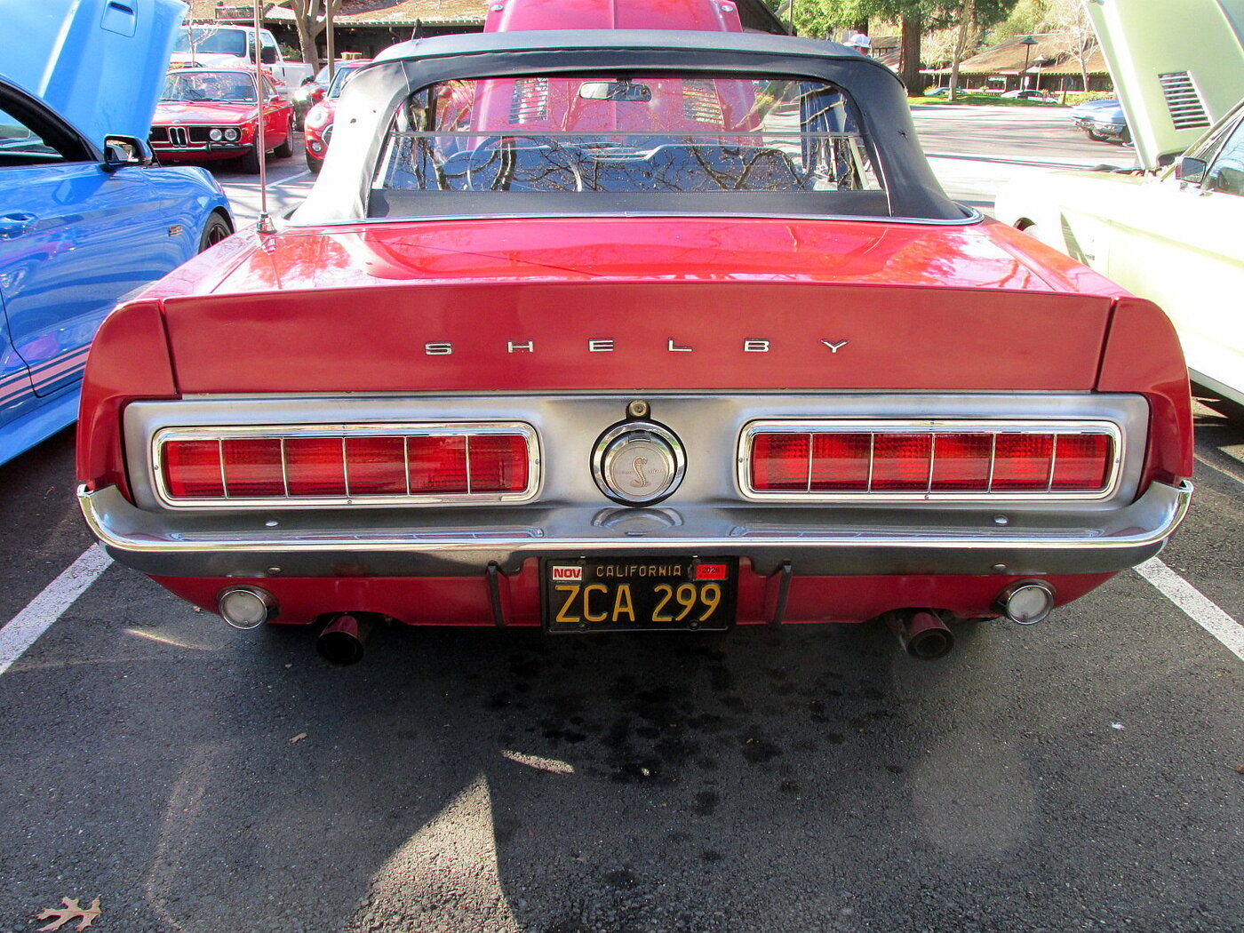 rsz shelby gt350 68 005